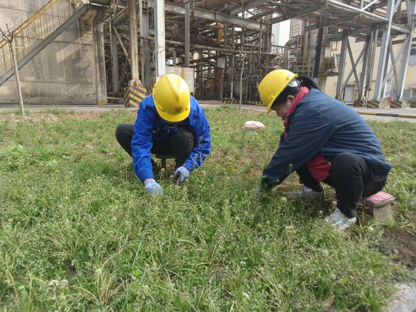 3月22日，行政保衛(wèi)部馬師傅和孫師傅在道路兩旁清除雜草。.jpg